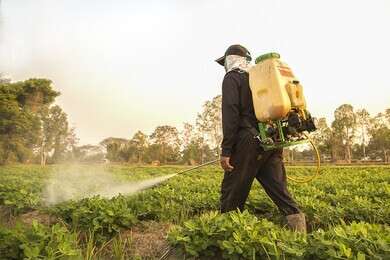pesticide - example image