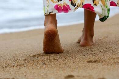 sandy - example image