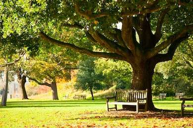 secluded - example image