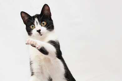 outstretched - example image