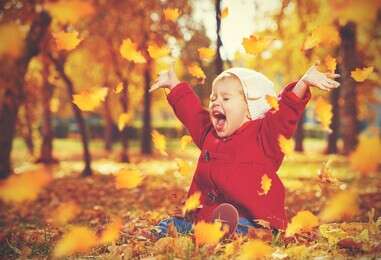 autumn - example image