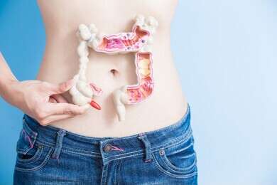 intestines - example image