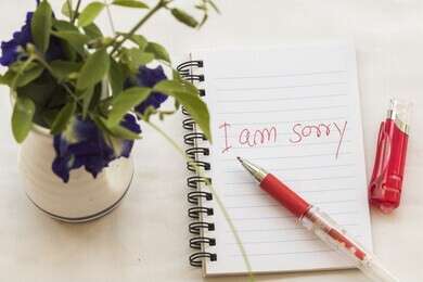 apology - example image