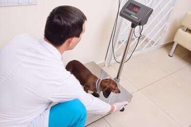 weigh - example image