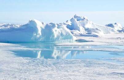 arctic - example image