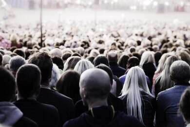 overpopulation - example image