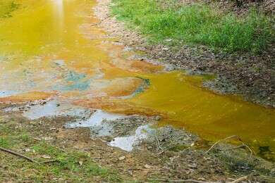 pollute - example image