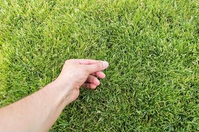 turf - example image